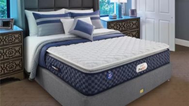 Photo of DREAM MATTRESS ROPES IN URVASHI RAUTELA AS ITS BRAND AMBASSADOR